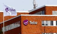 Thomas Kjærsgaard siger, at det er op til Telia Company og koncernledelsen i fremtiden at træffe beslutninger om Telia Danmark. Foto: Ints Kalnins/Reuters