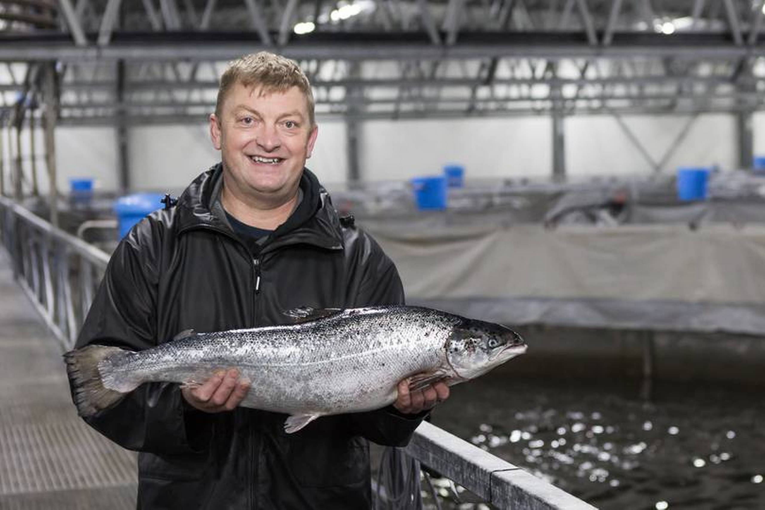Fiskemester Per Nielsen viser bæredygtigt produceret laks hos Danish Salmon. Foto: PR/Danish Salmon