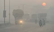 Smoggen hænger tungt over dele af Indien og Pakistan, hvor luftkvaliteten er så ringe, at det for indbyggerne svarer til at ryge en pakke cigaretter om dagen. Foto: AFP/Arif Ali