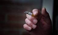 New Zealand vil gøre op med tobakskulturen i landet med ny lov. Foto: Brian Karmark