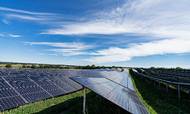 Better Energys solcellepark i Blangslev ved Næstved er opført uden subsidier og forsyner Googles datacenter i Danmark med grøn strøm. En ny stor indkøbsaftale med seks banker baner vej for endnu en støttefri solcellepark på en ikke offentliggjort lokation i Jylland. Foto: Better Energy