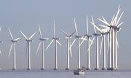 Jan Hylleberg, direktør i Wind Denmark, forudser, at særligt leverandører af vindmølletårne og komponenter vil blive ramt, hvis stålprisen stiger på baggrund af sanktioner mod Rusland. Foto: Jens Dresling