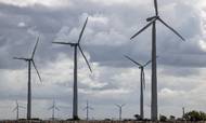 Energikrisen har skruet op for den grønne omstilling og udbygningen med bl.a. vindmøller. Men foreløbig kun på papiret, hvis man spørger Polytech i Vestjylland. Foto: Jens Hartmann