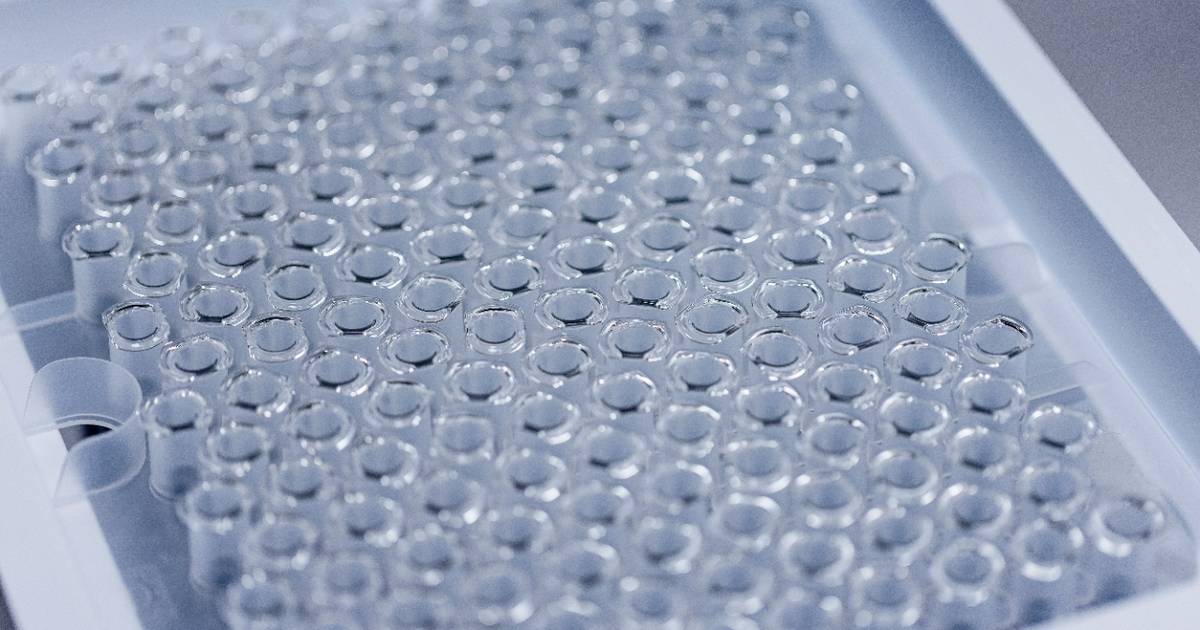 Novo Nordisk ser positive fase 2-resultater fra Cagrisema