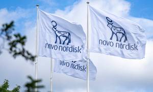Efter mange års debat om medicinpriser i USA var der dårligt nogen reaktion i henseende til Novo Nordisks-aktien efter vedtagelse af et indgreb mod priserne. Foto: PR