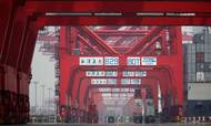 Rederier og virksomheder beder til, at de undgår en gentagelse af det logistiske kaos, der blev skabt, da pandemien fik styret til at lukke de kinesiske havne ned. Her ses containerhavnen i Shanghai. Foto: Qilai Shen/Bloomberg