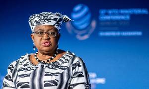 Et år efter sin tiltræden er det lykkedes WTO's generaldirektør Ngozi Okonjo-Iweala at skabe konsensus om en stribe handelsaftaler. Foto: Reuters/Martial Trezzini