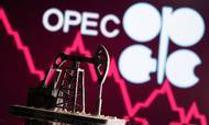 De olieeksporterende lande i Opec+ vil ikke ændre oliepolitik på trods af energiprischokket og den høje inflation. Foto: Reuters/Dado Ruvic