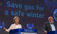 »Rusland afpresser os. Rusland bruger energi som et våben,« sagde Ursula von der Leyen under præsentationen, hvor medlemslandene blev opfordret til at reducere gasforbruget med 15 procent.