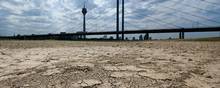 Tørken i sommer har gjort det svært eksempelvis at fragte kul som her på Rhinen, fordi der er for lidt vand. Foto: Ina Fassbender/AFP