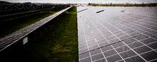 Der kan gå årevis på, at nye solcelleparker bliver tilsluttet nettet. Det forsinker den grønne omstilling og tilgangen af billig strøm til danskerne, siger udviklere. Foto. Casper Dalhoff