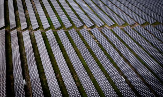Nordeuropas største solcellepark tilbage i 2021 i Holstebro. Fremover kommer sådanne parker nærmere til at blive reglen frem for undtagelsen, forudser en af Danmarks ledende udviklere af vedvarende energi. Foto. Casper Dalhoff