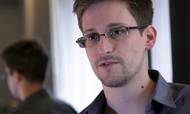 Whistleblower Edward Snowden. Foto: Handout/AFP/Ritzau Scanpix