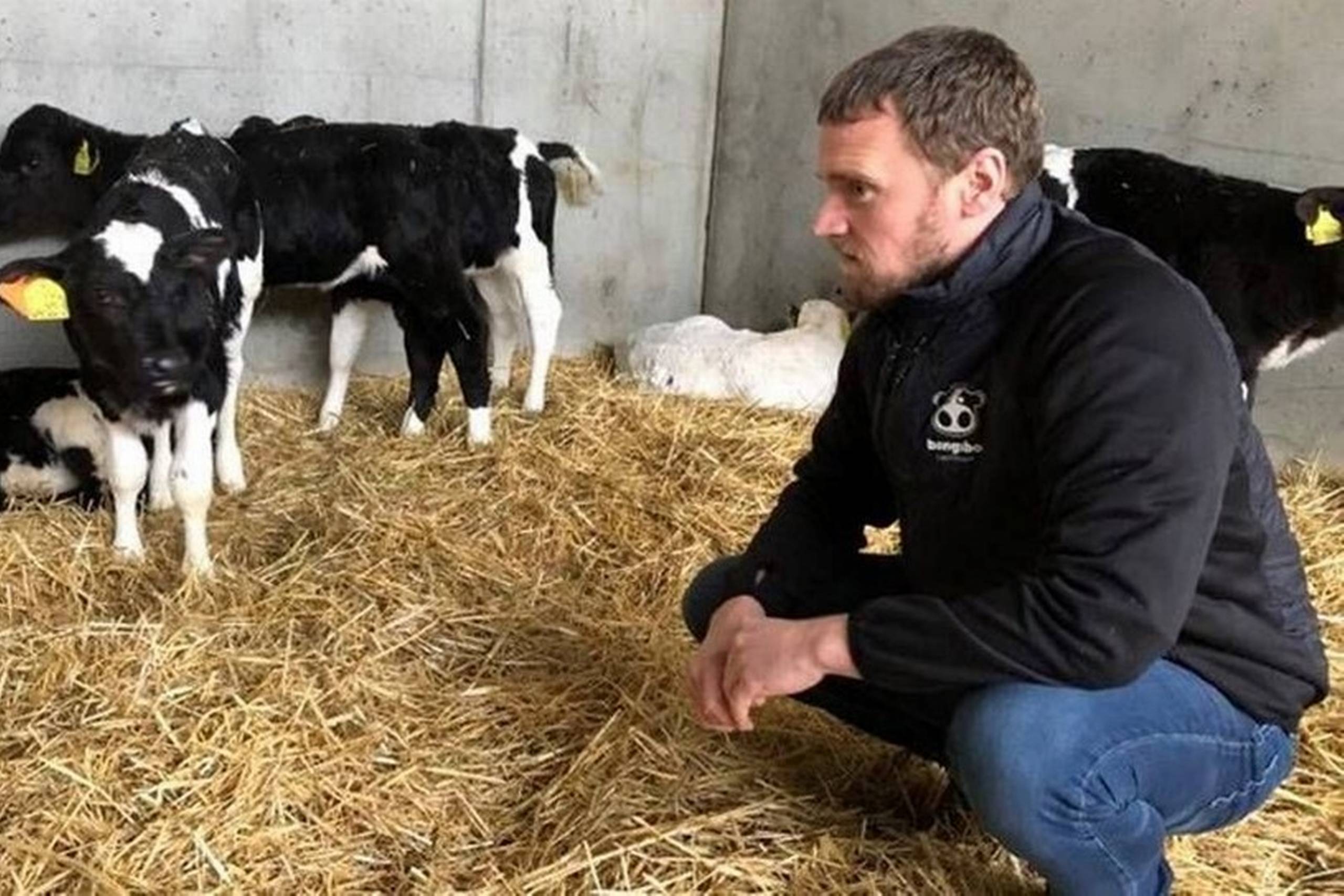 "Vi skal gemme de penge til 2023. Jeg frygter, hvor meget noteringen kan falde endnu," siger Rasmus Alstrup, formand for foreningen Danske Slagtekalveproducenter. Foto: William Rønfeldt Kristensen/Watch Medier