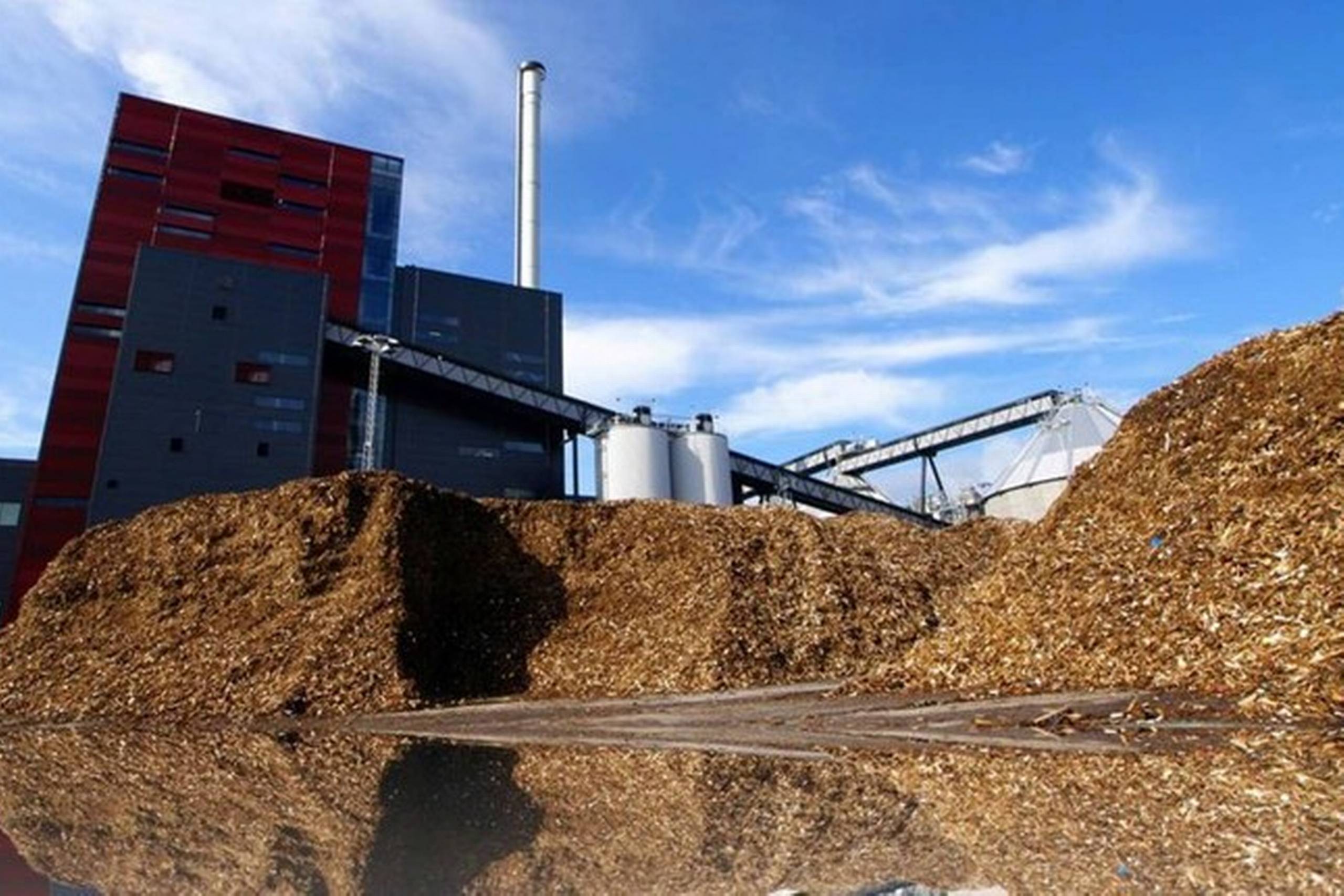 Biomasse vil blive underlagt et dynamisk prisloft, når EU's el-loft skal udmøntes i dansk lovgivning, lyder forslaget fra embedsapparatet, men der bør ikke diskrimineres mellem el-producenterne, lyder det fra Dansk Erhverv. Foto: Concito