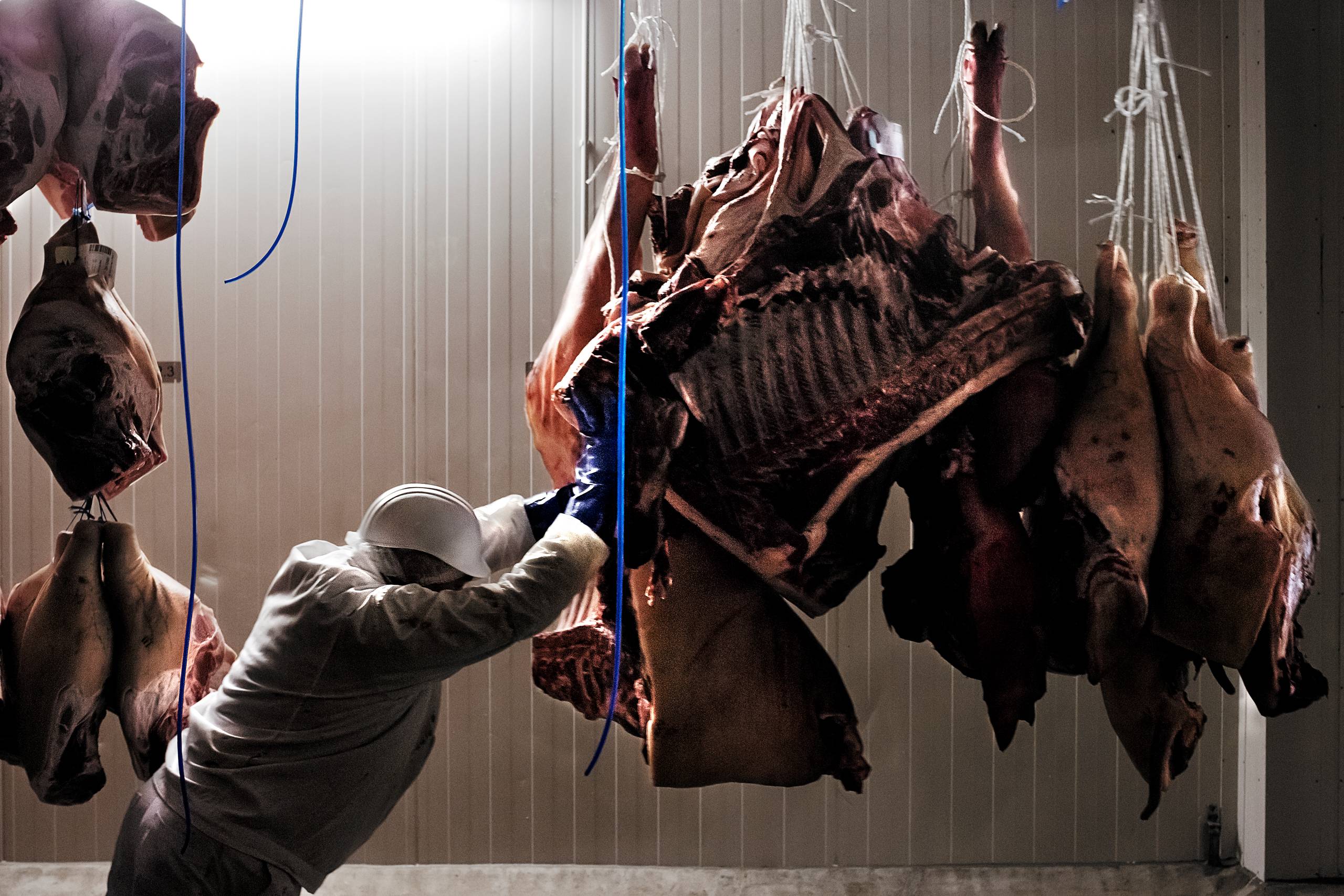 Foto: Peter Klint/Politiken/Ritzau Scanpix