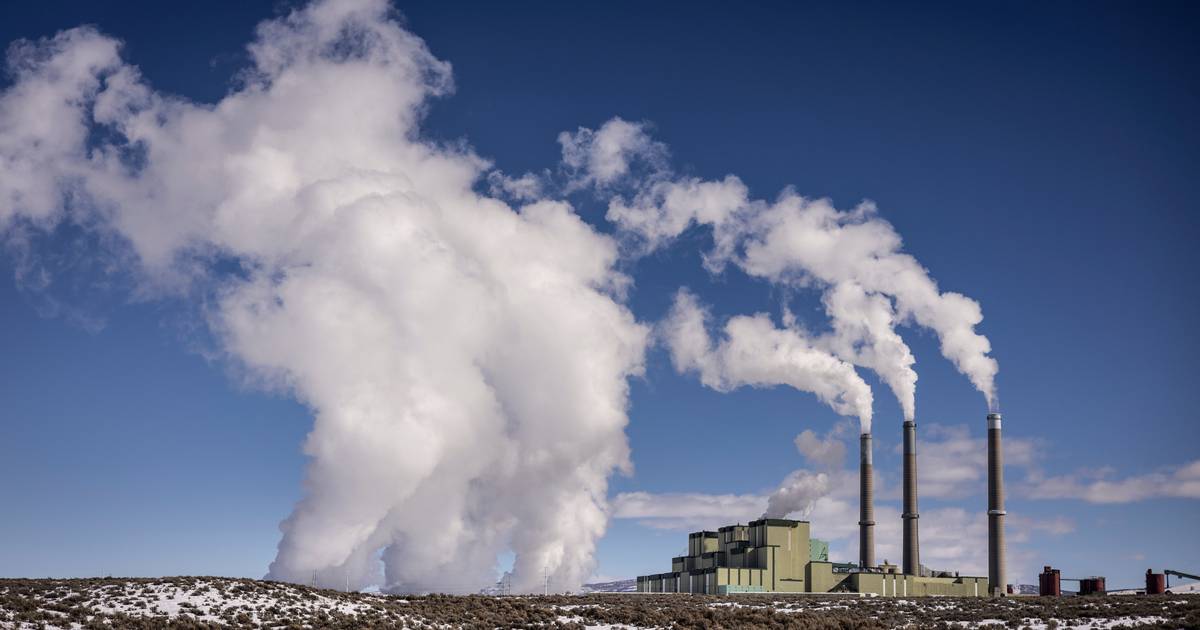 Hilton, Marriott and Chipotle bankroll climate opposition, despite green claims