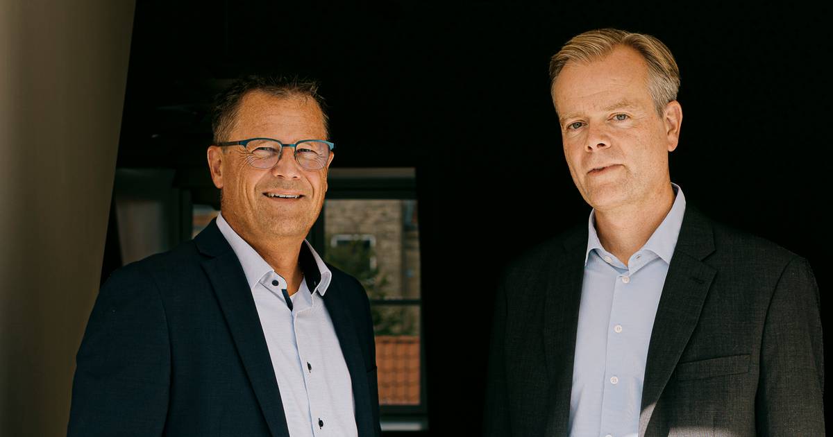 Sparekassen Danmark выдала миллиарды кредитов свиноводческим фермерам, страдающим от убытков