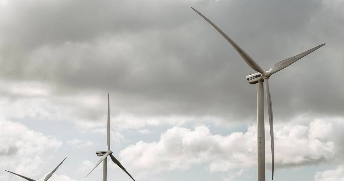 Regnskabsuge gav uhørt store kursfald: »Det er meget voldsomt«