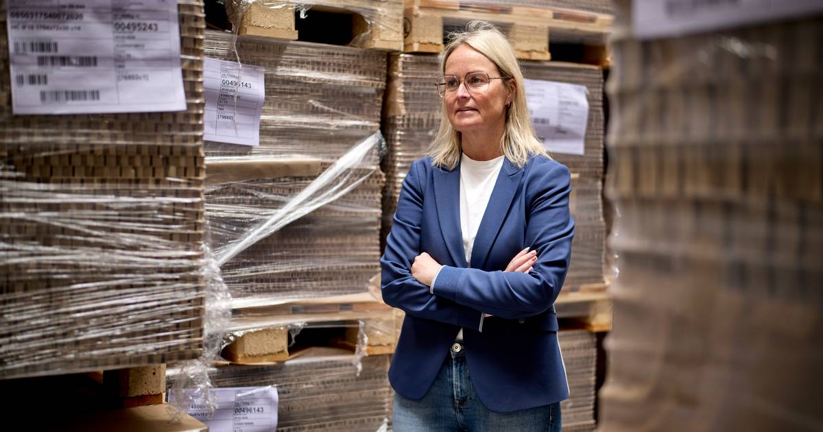 Hun skal vende stor dansk producent: Vores globale repositionering er på plads