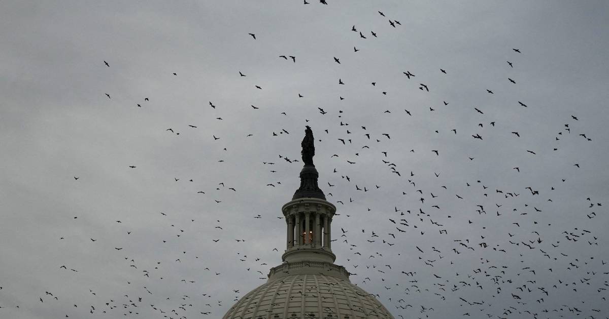 Датские пенсионные фонды сократили владение американскими облигациями вдвое из-за геополитической нестабильности