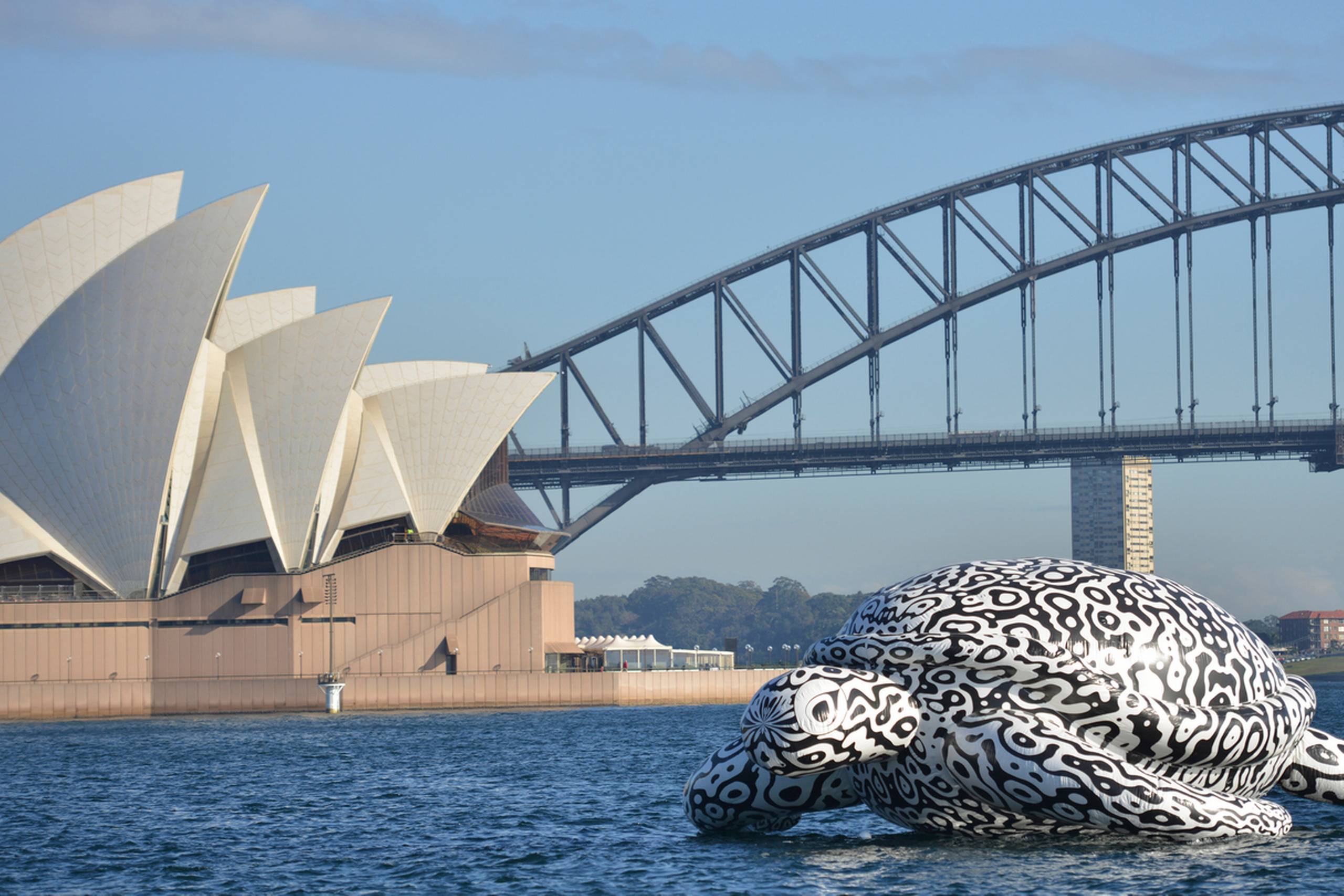 Energiselskabet Energy Australia har gjort noget ved uligheden i løn mellem kvinder og mænd. Kvindernes løn hæves til mændenes niveau i et hug. Foto: Rob Griffith/AP.
