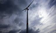 Mange globale virksomheder satser stort på vindmøller og grøn energi. Foto: Jens Büttner/AP