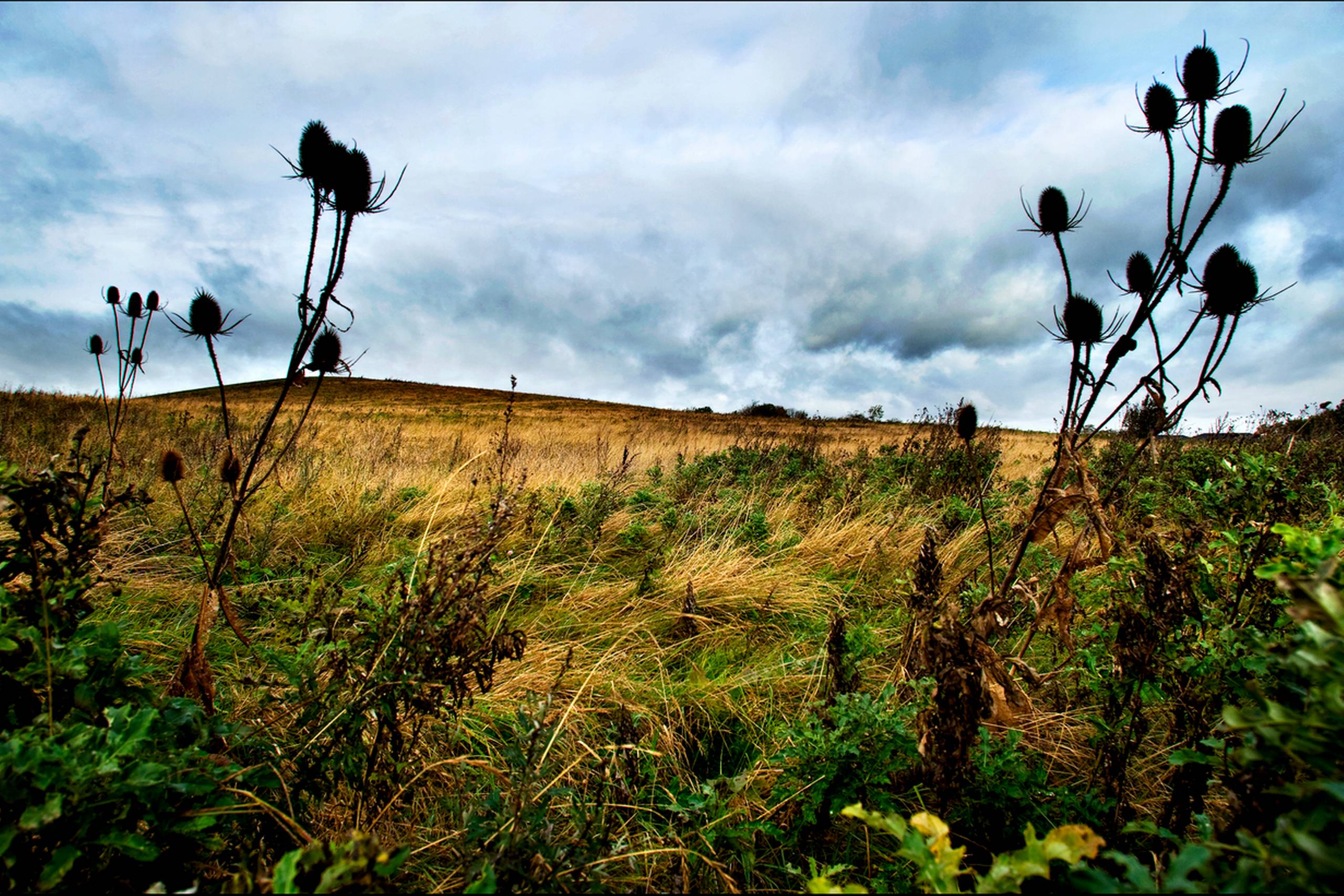 Denne mark i Snertinge var begyndelsen for det svindleriske erhvervseventyr i Abaris Ejendomme.