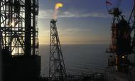 Den stigende oliepris, men også uroen på verdensmarkederne, hjælper den danske olie- og gasbranche. Foto: Jo Roettger Foto: Jo Roettger