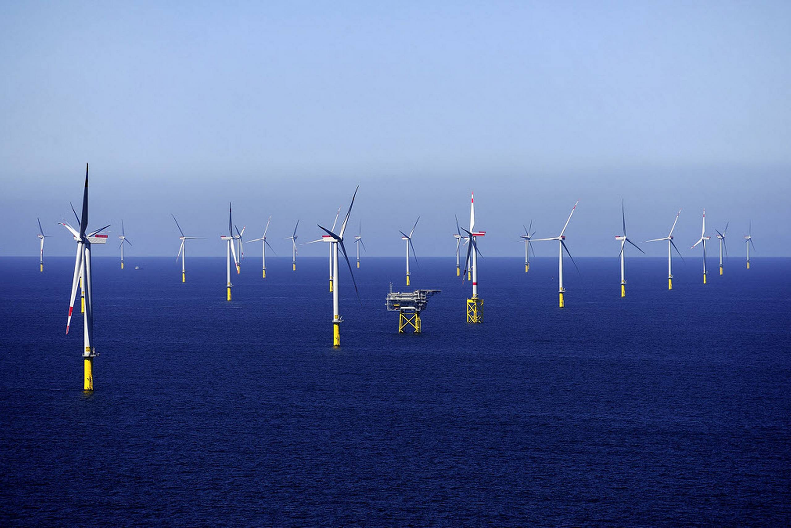 Borkum Riffgrund 1, 78 møller, 312 MW. Det er Dongs første tyske havmøllepark, som er placeret i Nordsøen vest for øen Borkum.