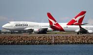 Det australske luftfartsselskab Qantas fyrer 6000 medarbejdere. Foto: Rick Rycroft Foto: Rick Rycroft