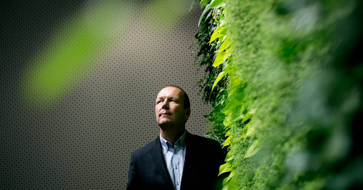 NCC-boss: Skrumpet ordrebog stopper ikke væksten - Finans