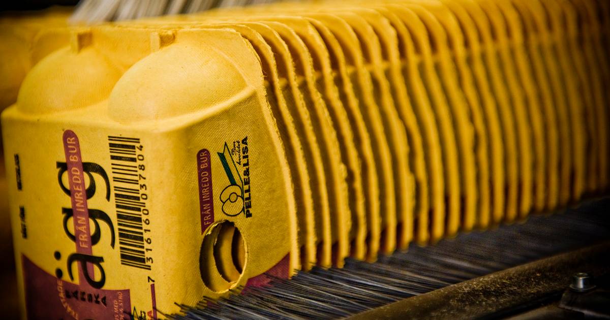 Hartmann Fremgang fortsat drevet af positiv coronaeffekt