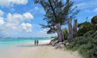 Cayman Islands i Caribien er et velkendt skattely, som har været flittigt benyttet af kapitalfonde. Også ATP har investeret penge gennem fonde på Cayman Islands, inden landet for nylig blev optaget på EU's liste over usamarbejdsvillige lande. Foto: AP