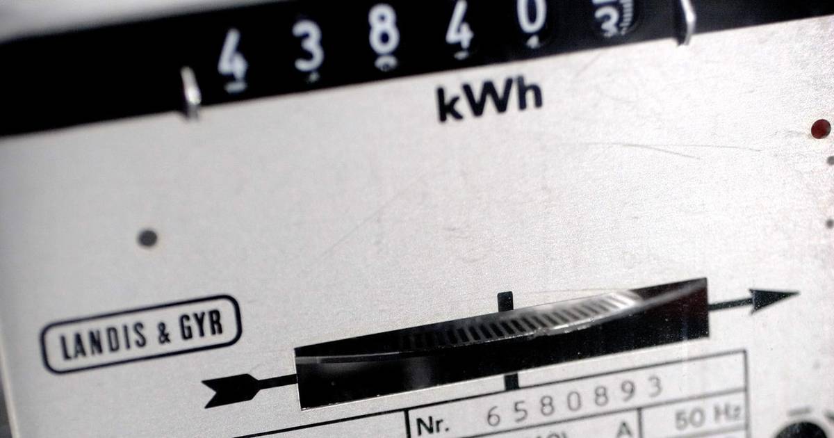 Selskaber tjener mange millioner på elmonopol - Finans