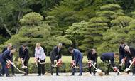 Statsoverhovederne for G7 planter nye træer ved Ise-helligdommen i Mie, en del af åbningsceremonien for G7-topmødet i foråret 2016. Foto: AP Images