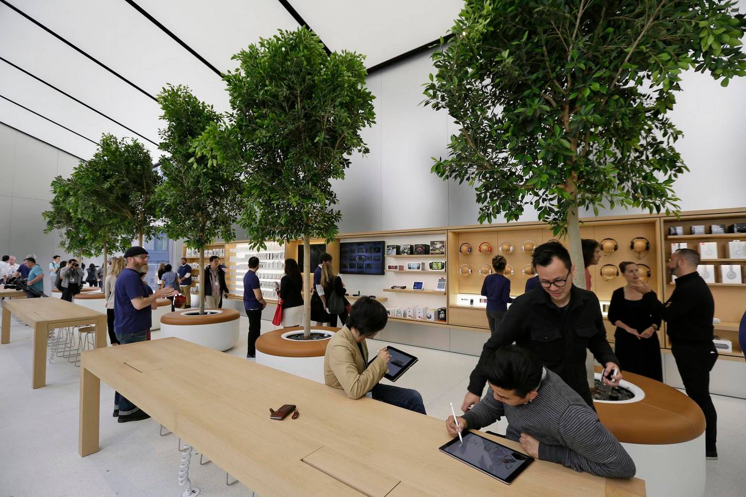 I 1. kvartal oplevede Apple en historisk nedgang i salget af smartphones på 16,3 pct. Foto: Eric Risberg/AP
