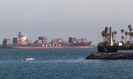 Shippingbranchen vurderer, at der ligger last for omkring 100 milliarder kroner i rum sø eller udenfor de store containerhavne. Foto: Damian Dovarganes/AP