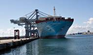 Maersk Line overtaget 31 procent af Hanjin Shippings containerkapacitet. Foto: Charlotte de la Fuente