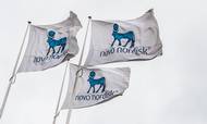 Novo Nordisk-ejeren Novo Holdings er igen Danmarks største skatteyder. Foto: Stine Tidsvilde