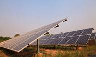 AP Bæredygtig havde i årets første måneder gevinst på at investere i grøn energi. Arkivfoto: Colourbox
