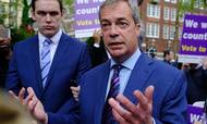 Britiske Nigel farage er blandt topscorerne, når det gælder bijob uden for arbejdet i Europa-Parlamentet. Foto: AP Photo/Alastair Grant
