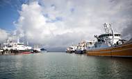 33 af de allerstørste danske fiskeskibe risikerer at miste 80 pct. af deres indtjening, hvis de efter brexit afskæres fra at fiske i britiske farvande. Foto: Gorm Olesen