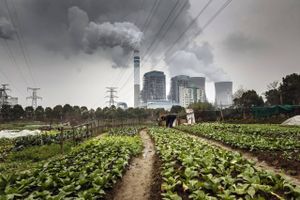 A man tends to vegetables growing in a field as emissions rise from cooling towers at a coal-fired power station in Tongling, Anhui province, China, on Jan. 16, 2019. Foto: Qilai Shen