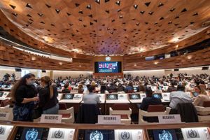 WHO-forsamling den 22. maj 2022 i Geneve. Foto: Jean-Guy Python/AFP/Ritzau Scanpix