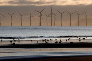 Havvindmølleparker som denne i Nordsøen ud for Hartlepool,står tæt på land, men udbygningen af vindenergi vil i stigende grad skulle ske på store havdybder, som olieindustrien har et dybtgående kendskab til. Foto: Reuters/Frank Augstein