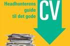 Billede i en relateret artikel