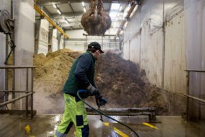 Gazprom lukker onsdag morgen for gassen til Ørsted, der har staten som største aktionær. Gazprom-skridtet får nu DI til at uddele roser til Danmarks biogas-satsning.
