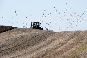 En række instrumenter skal hjælpe op til 15 pct. af landbrugsbedrifterne ud af erhvervet.