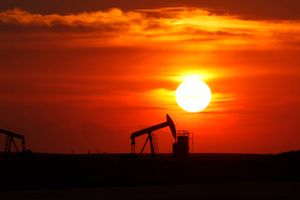 Den seneste måned er råoliepriserne faldet med en femtedel. Foto: AP/Larry MacDougal